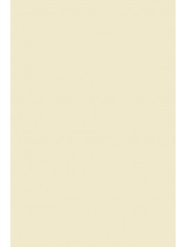 F&B 2012 House White