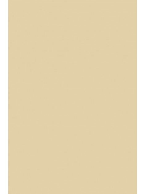 No.227 Archive