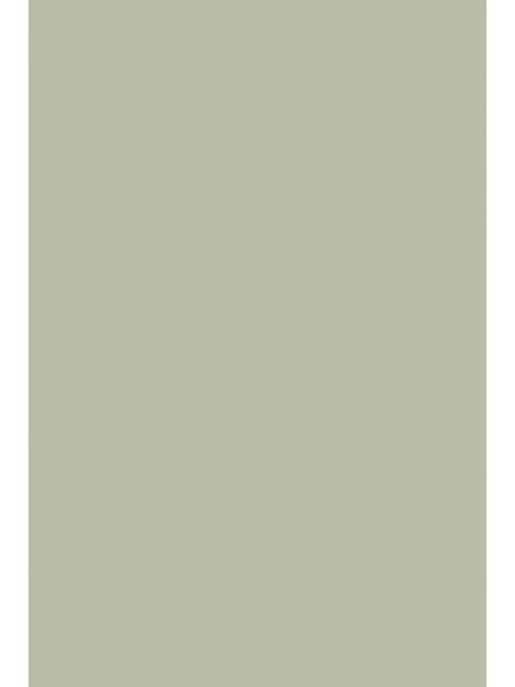 No.25 Pigeon