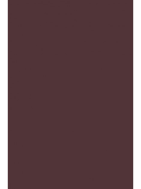No.222 Brinjal