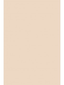 F&B 231 Setting Plaster