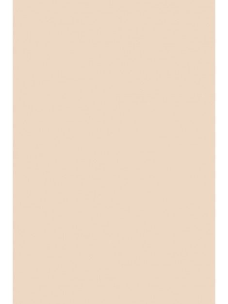 No.231 Setting Plaster