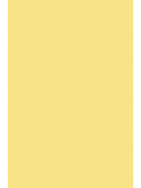 No.233 Dayroom Yellow