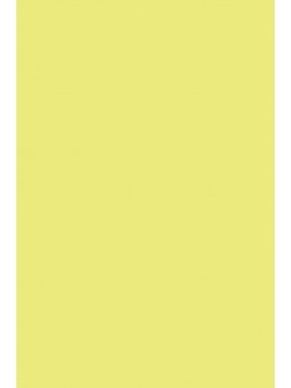 F&B 279 Yellowcake