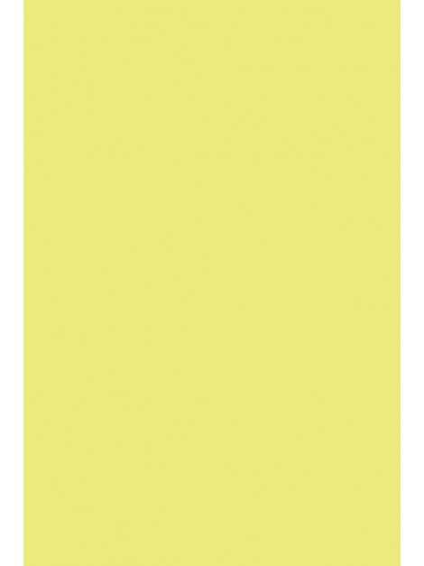 No.229 Yellowcake
