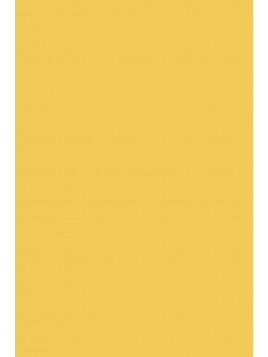 F&B 218 Yellow Ground