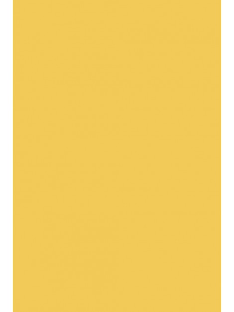 No.218 Yellow Ground