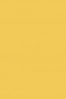 F&B 218 Yellow Ground