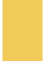 No.218 Yellow Ground