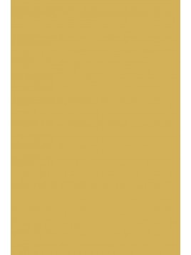 F&B 51 Sudbury Yellow