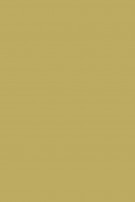 F&B 251 Churlish Green
