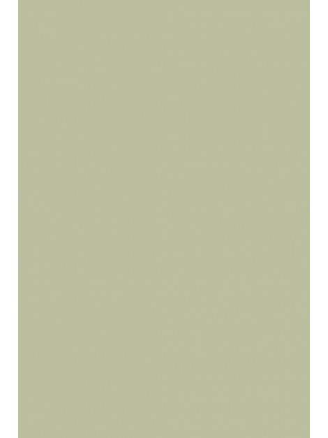 No.234 Vert de Terre