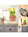 Fusion Paint - Penney Collection